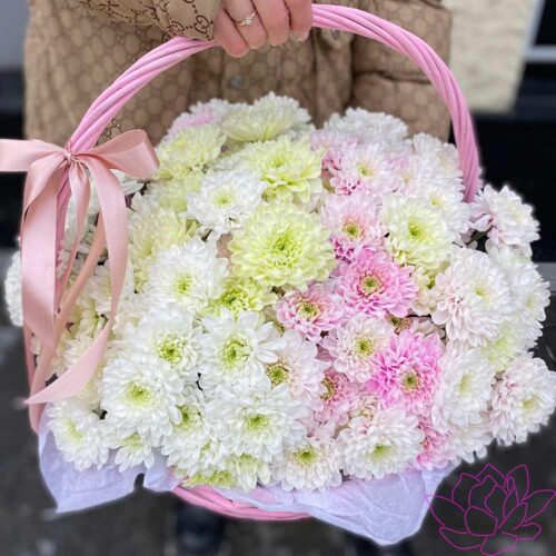 Кустовые хризантемы в корзине