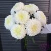 Одноголовые хризантемы поштучно