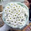 Букет из 9 кустовых хризантем