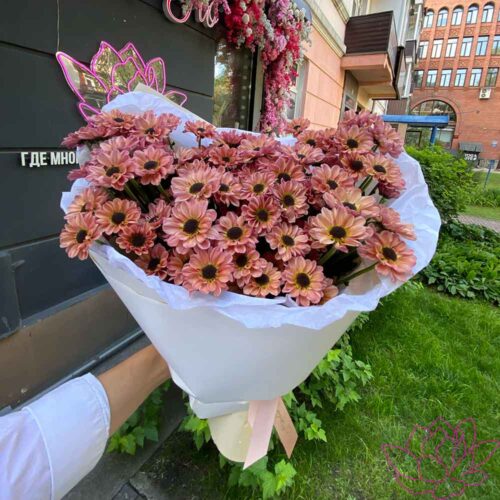 Букет из 15 хризантем сантини