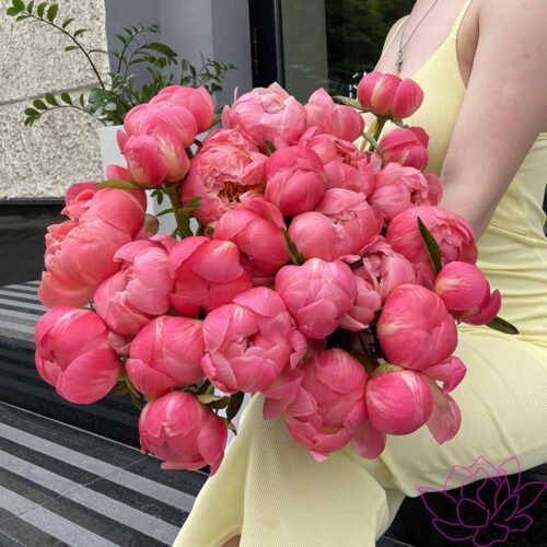 Букет из 25 коралловых пионов
