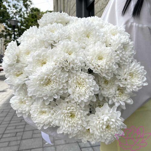 Букет из 5 кустовых хризантем
