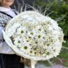 Букет из кустовых хризантем и ромашек